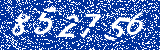Capcha image