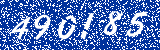 Capcha image